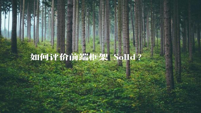 如何评价前端框架 Solid?